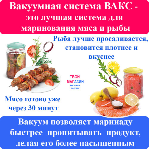 Вакуумная система ВАКС Мини-2Н